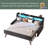 Twin Size Daybed With Trundle, Upholstery Daybed With LED Light ＆ Charging Station, Velvet Day Bed With Wood And Metal Frame