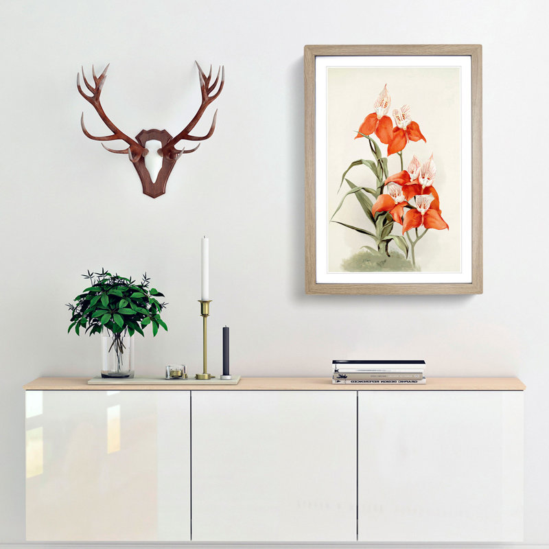Magnolia Flowers Illustration Tab. 15 by Frederick Sander - Picture Frame Painting Print, 76cm H x 50cm W x 2cm D, Oak