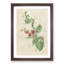 Raspberry Plant by Pierre-Joseph Redoute - Picture Frame Painting Print-55602042-55602045