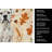 White Boxer Heirloom Fall Kitchen Towel-1218231563