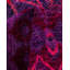 Tapis mauve / rose sur mesure 6 pi x 9 pi 4 po Overyed