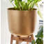 Dacian Handmade Metal Pot Planter
