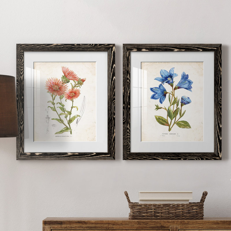 «Botanical I», ensemble de 2 reproductions d'art, Blanc, H 24 po x l 36 po x P 1,5 po, H 31,5 po x l 47 po x P 1,5 po