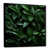 Black Floater Framed