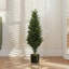 Plant-1687928900