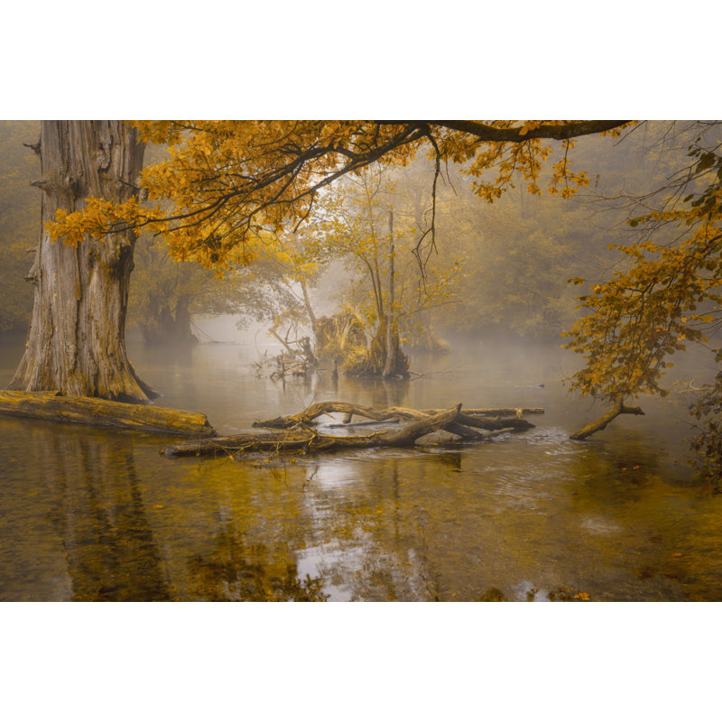 Wrapped Canvas Print, 50.8 cm H x 76.2 cm W