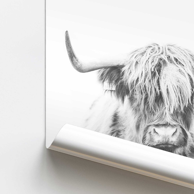 Highland Spirit, dans un cadre,, Papier, H 20 po x l 16 po x P 0,1 po