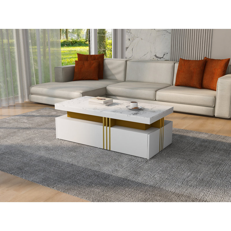 Coffee Table with Storage