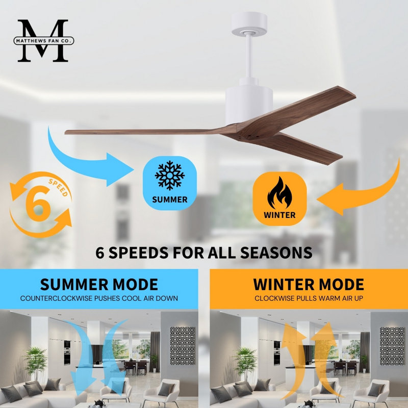 Mollywood - 42" Ceiling Fan - Textured Bronze Finish - Matte Black Blades, Matte White, 42", Walnut