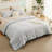 Bedsure Light Grey Queen Comforter Set - Bedding Set Queen 7 Pieces, Bed in a Bag Bed Set with Comforter, Sheets, Pillowcases & Shams-105522612-105522619