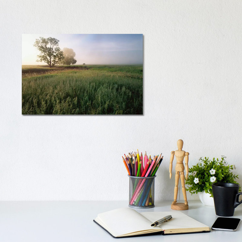 Oak Trees Shrouded in Fog, Tallgrass Prairie in Flint Hills Which Has Been Taken over by Invasive Great Brome Grass, Kansas 1 Piece Wrapped Canvas Wall Art