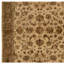 Oriental Area Rug