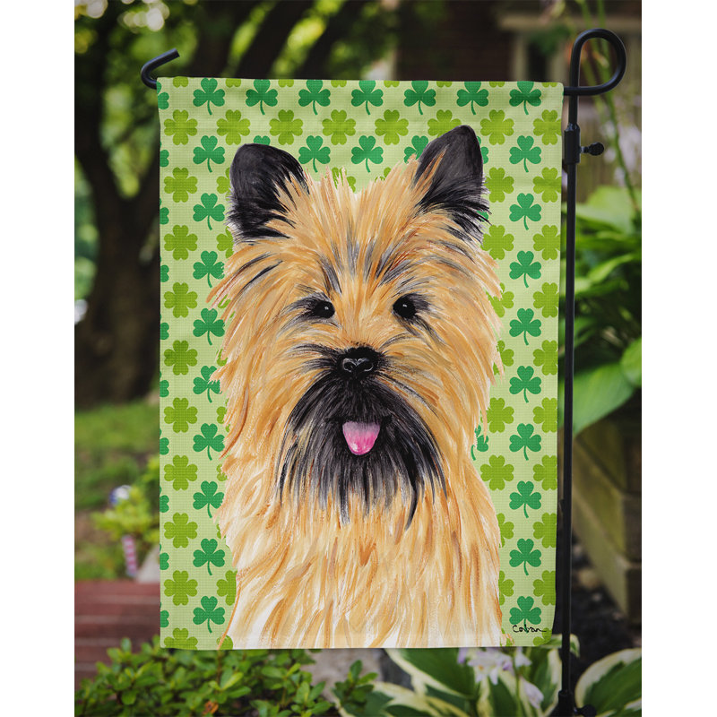 Drapeau de jardin à 2 côtés st. patrick day trèfle, Cairn terrier (brun et noir)