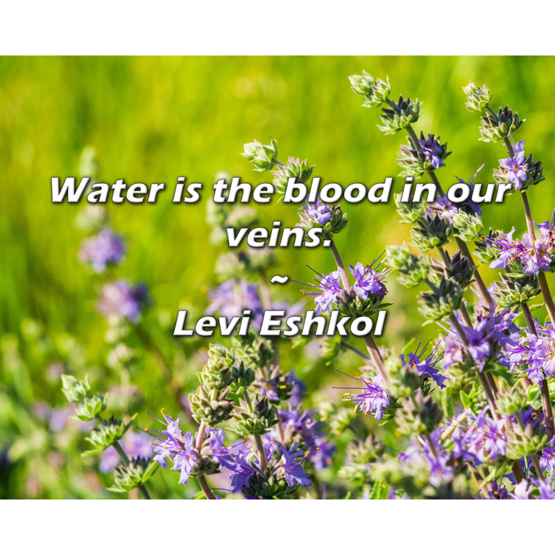 Levi Eshkol Citation: L'eau est le sang dans nos veines.