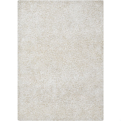 Lydia Authentic Hand-Woven Handmade Modern Ribbon Shag Polyester Area Rug