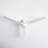 Antonia 60'' Ceiling Fan with LED Lights