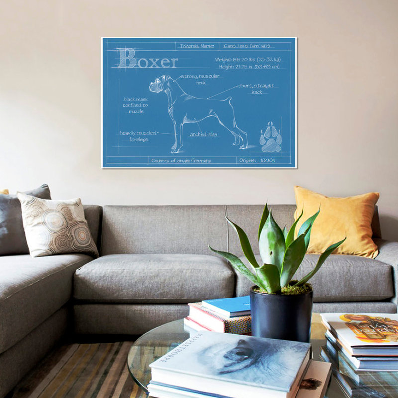 «Blueprint of a Boxer», reproduction d'art sur toile, H 26 po x l 40 po x P 1,5 po, Toile tendue, Pas de tapis