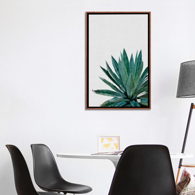 « agave cactus »-impression photographie