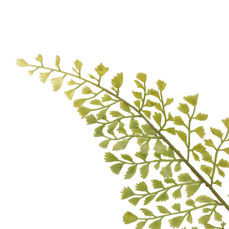 Branche de fougère décorative