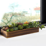5'' Faux Succulent in Solid Wood Planter