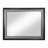 Roselyne Rectangle Mirror in Black and Silver