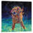 " Moonlight Swim " by Iris Scott-502829014-502829015