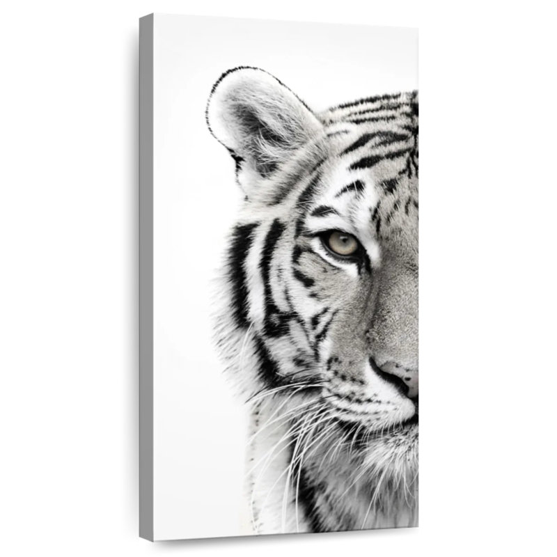 Tigre blanc, H 24 po x l 12 po