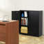 Ebern Designs Metal Storage Cabinet