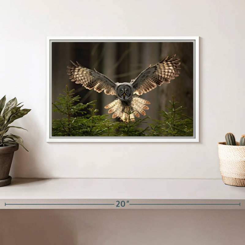 Hibou volant, Cadre flottant blanc, 13 po x 9 po