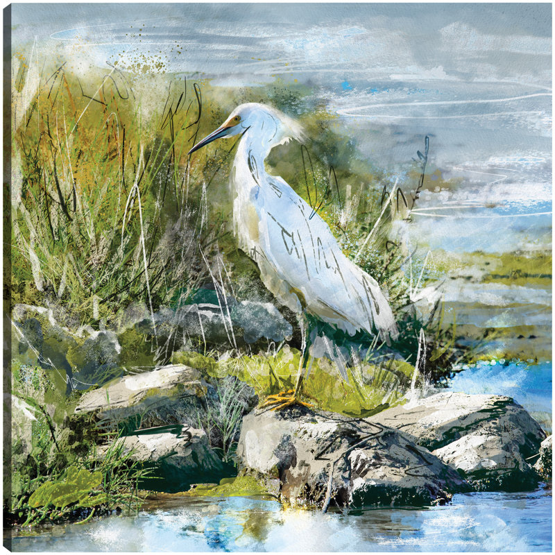 Snowy Egret 12x12 White Canvas Art Print