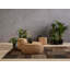 Vivi Coffee Table-1077491181