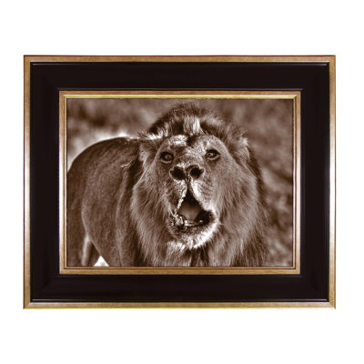 Single Picture Frame Print