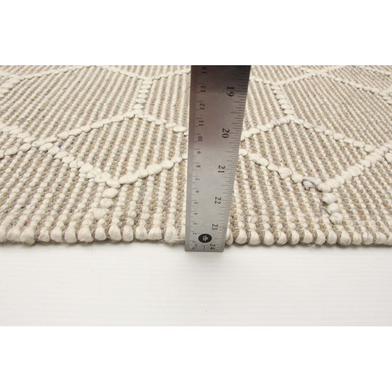 Hainer Performance Hand Braided Wool Geometric Rug