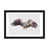 Black Framed Fine Art Paper is unavailable