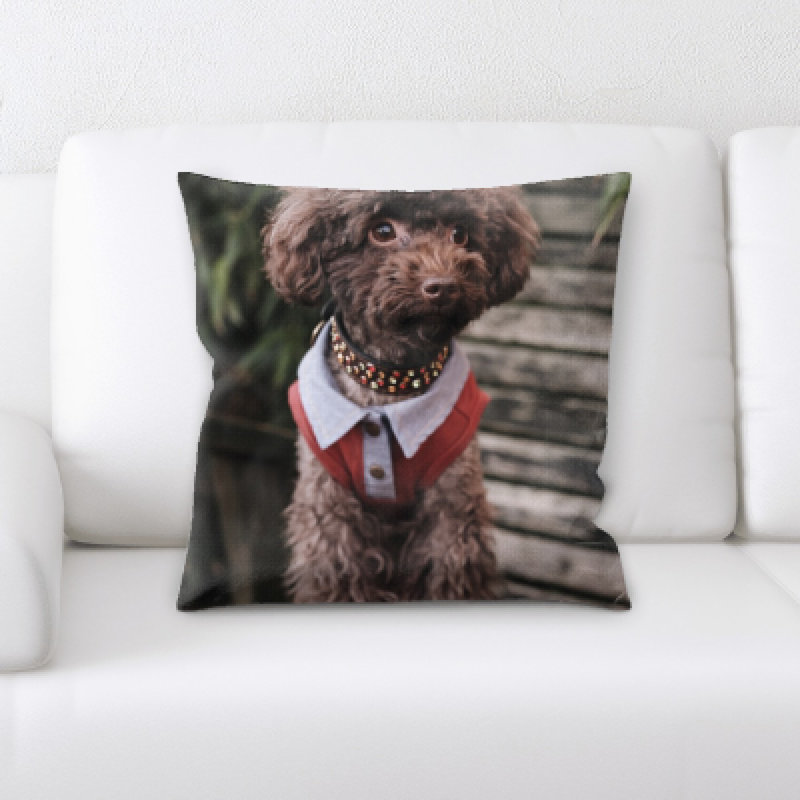 Coussin pour chien
