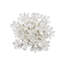Aster Napkin Ring-1479969548