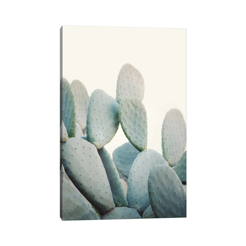 Pastel Cactus by Sisi & Seb - Gallery-Wrapped Canvas Giclée on Canvas, 66.04 cm H x 45.72 cm W x 1.91 cm D, Canvas
