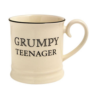 Quips and Quotes "Grumpy Teenager" Tankard Mug
