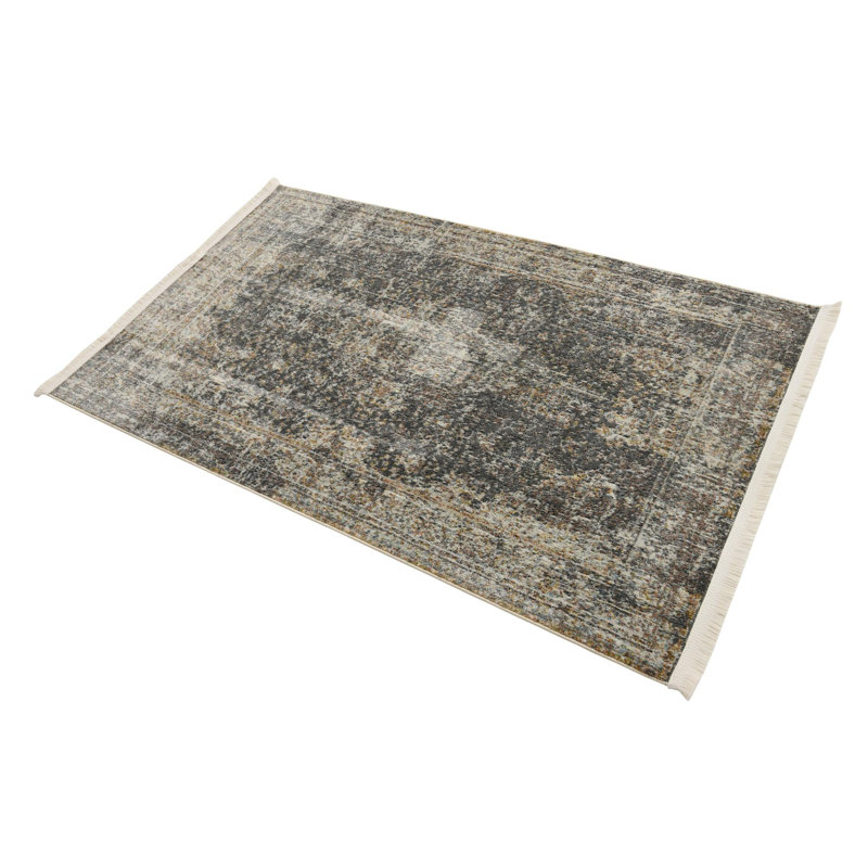 Tapis contemporain de couleur gris anthracite Mulvihill, Rectangle 3 pi x 5 pi