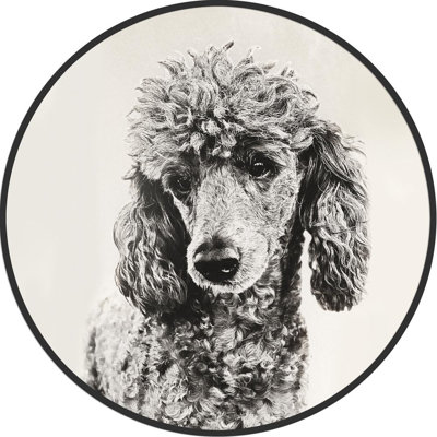 Décoration murale caniche