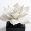 Calendine Landscape & Nature Figurines & Sculptures-2001312843
