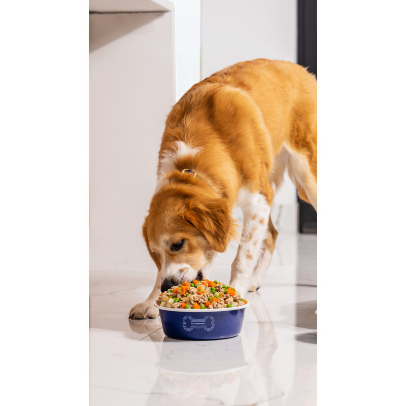 Pet Dog Bowl, Carmin, Large (6 cups)
