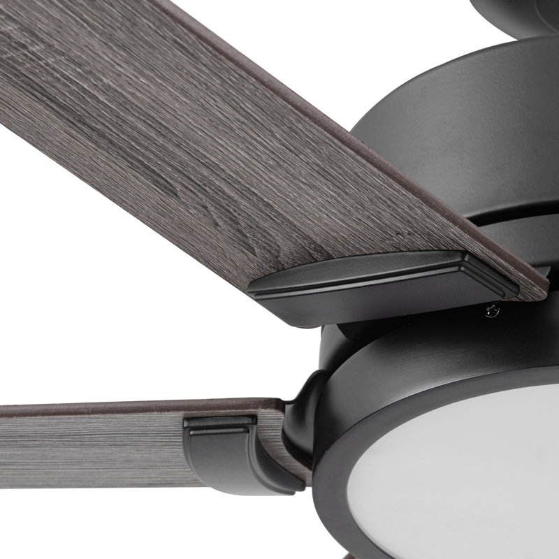 62'' Talbert 6 - Blade Standard Ceiling Fan with Remote and Light Kit Included