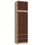 Steliana 2 -Door Console