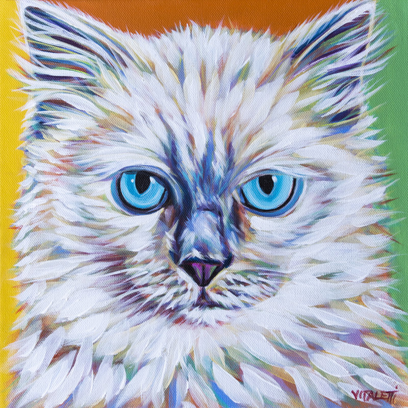 Classy Cat II by Carolee Vitaletti - Wrapped Canvas Painting, 91cm H x 91cm W  