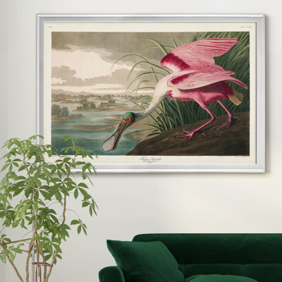 " Roseate Spoonbill "