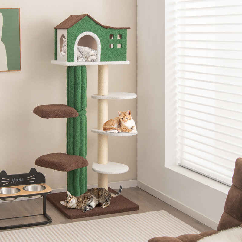 Driston 61'' H Cat Tree