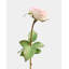 Real Touch Cream Pink English Rose 24"