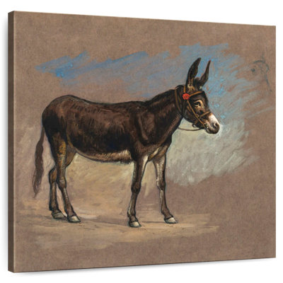 Brampt Study. A Mule