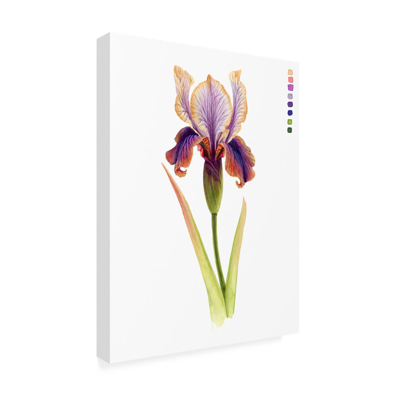 Grace Popp Rainbow Iris II Modern Canvas Art in White Frame